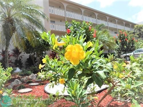 Foto del edificio - 2201 Lucaya Bend