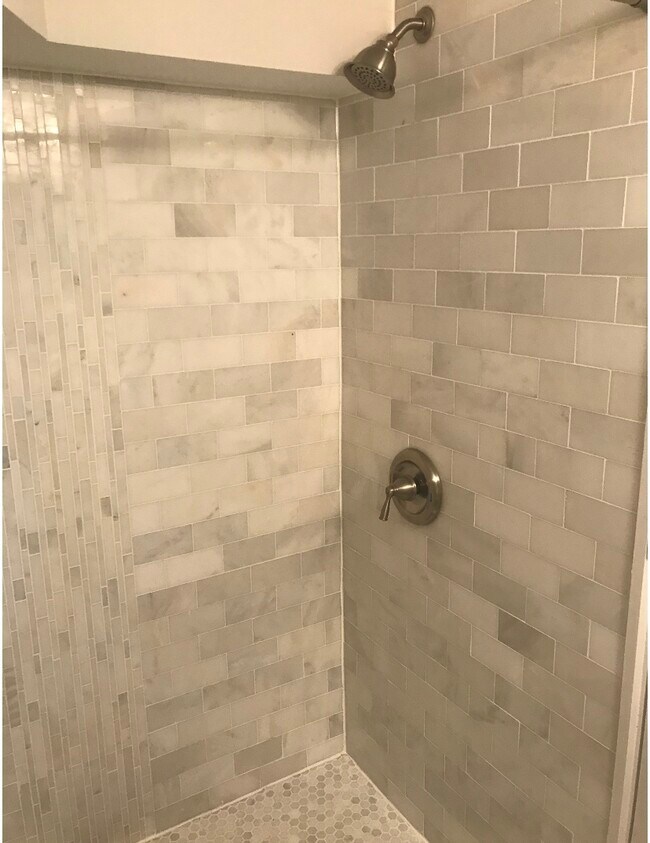 Shower - 825 50th Pl NE