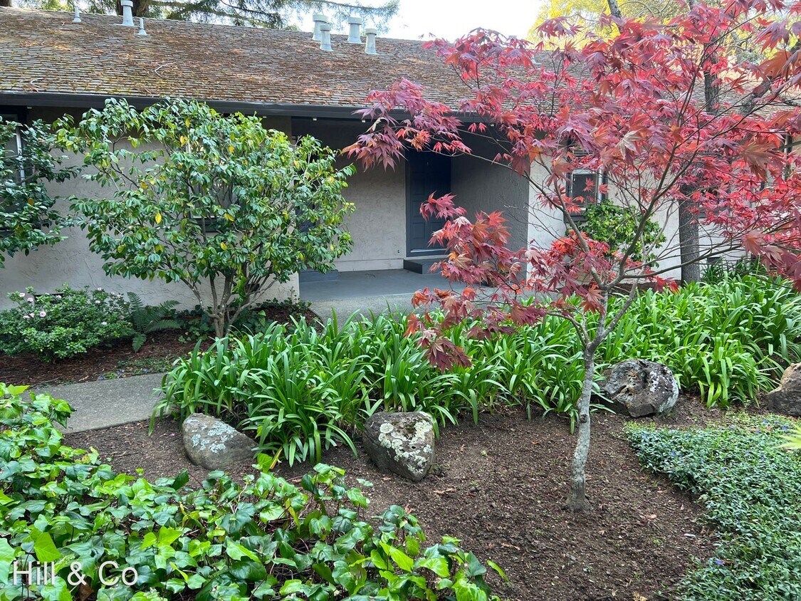 Primary Photo - 1 br, 1 bath House - 10 Catalpa Avenue # 4