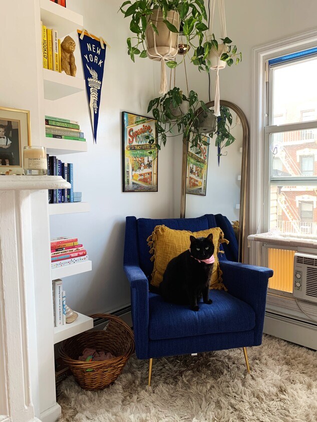 Foto principal - 646 Manhattan Ave