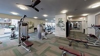 Located at 8255 Walnut Hill Lane in Dallas, TX, this single-floor fitness center is a comprehensive, well-appointed facility designed to support a full range of workout routines. The space is organized into distinct functional zones, allowing users to move seamlessly between cardio and strength training areas.

The cardio section lines the perimeter near large floor-to-ceiling windows, flooding the space with natural light and offering views of the surrounding outdoor area. A row of treadmills and elliptical machines are positioned to take advantage of this outlook, creating an energizing environment for aerobic exercise.

The strength training area is generously stocked with a variety of Precor resistance machines, free weights, and adjustable benches. A full dumbbell rack is neatly arranged along a mirrored wall, which visually expands the space and allows users to monitor their form. Decorative botanical artwork on the columns adds a welcoming aesthetic touch throughout.

Ceiling fans provide additional air circulation, contributing to a comfortable workout environment. A built-in refreshment station, featuring a small refrigerator and sink set against a textured stone accent wall, adds a practical amenity for post-workout recovery. The patterned carpet tile flooring in muted greens and grays ties the entire space together with a clean, modern finish.