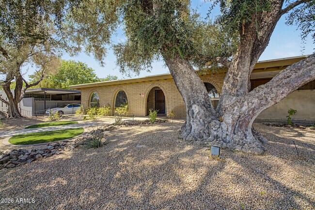 Foto del edificio - 3734 E Montecito Ave