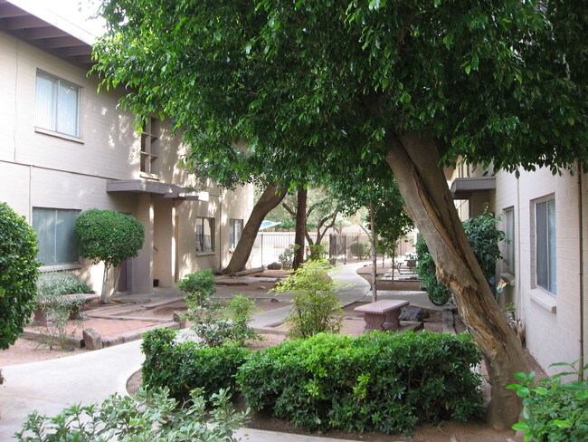 Interior Courtyards - 240 S MacDonald