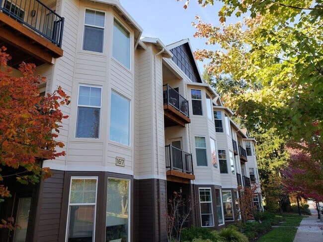 Foto del interior - Belmar Commons