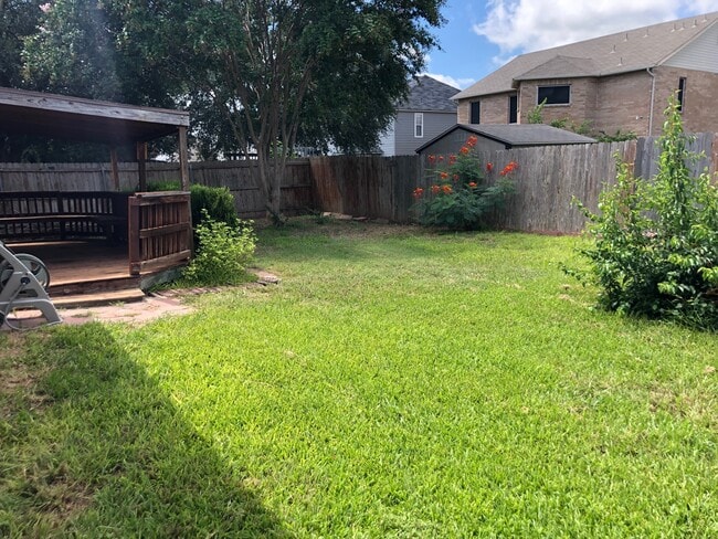 Backyard - 867 Spyglass Dr