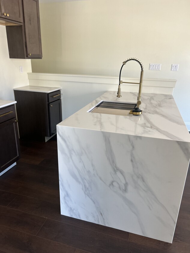 Kitchen features gas stove, pot filler, dishwasher, cup rinser, and beautifully water fall counter - 726 Lincoln St