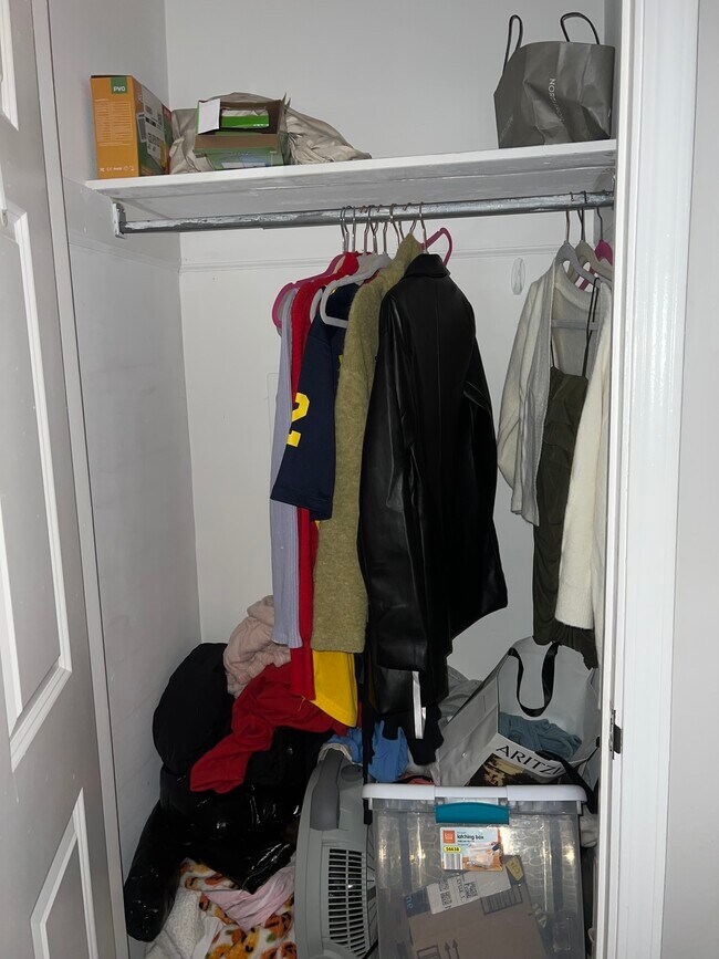 Closet in bedroom - 802 Oakland Ave