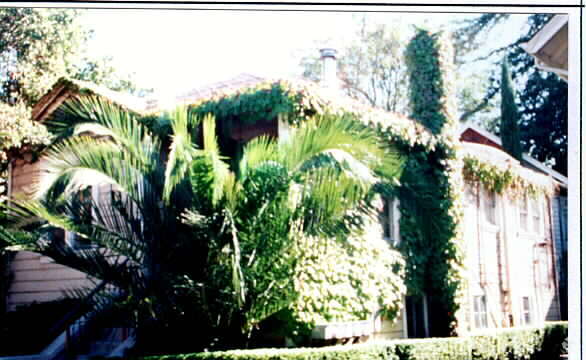 Primary Photo - 829 San Anselmo Ave