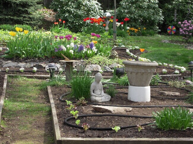 garden - 65 Draper St