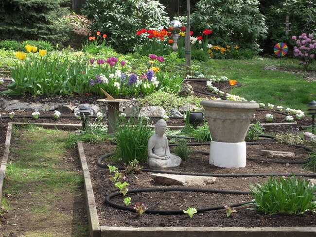 garden - 65 Draper St