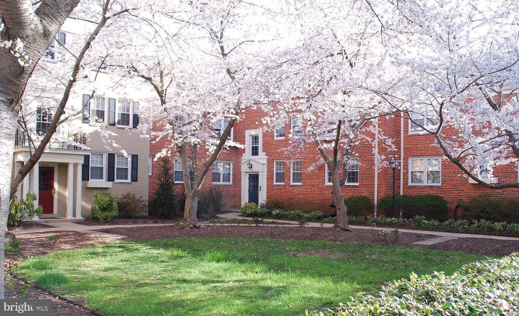 1302 Belle View Blvd Unit C1, Alexandria, VA 22307 Room for Rent in