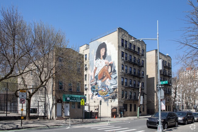 There are colorful murals around the area such as this one in Mott Haven.