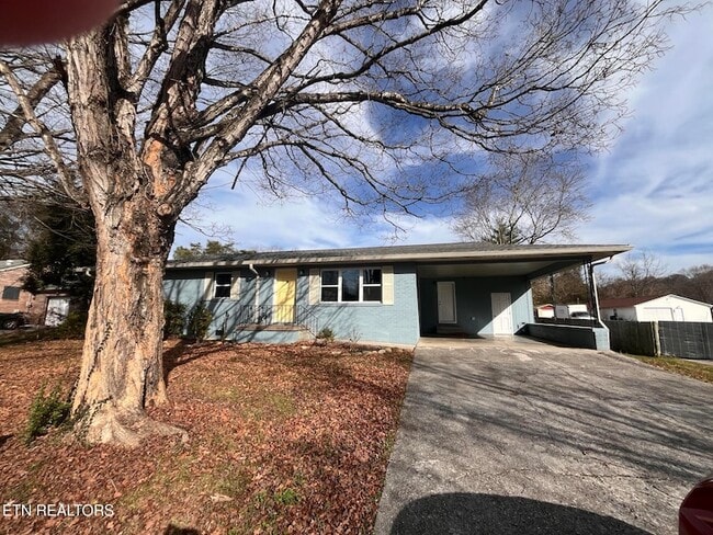 Building Photo - 3408 Hackberry Rd