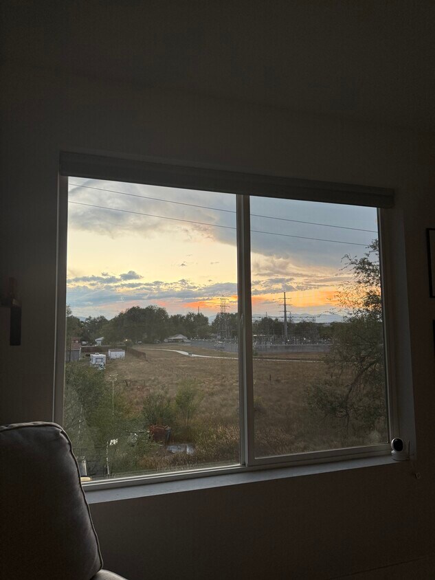 View out back - 1053 Eaton St