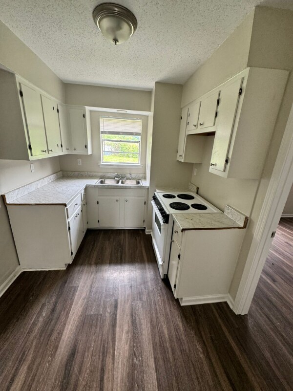 Building Photo - 2482 Chattering Ln