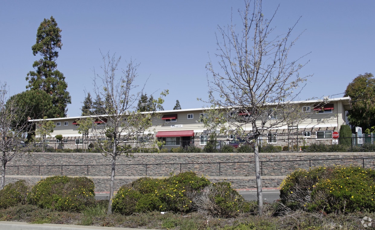Primary Photo - Pacifica Apartments