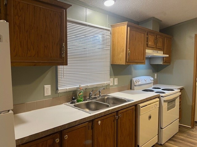 Foto del edificio - 13074 Pine Trail Ct