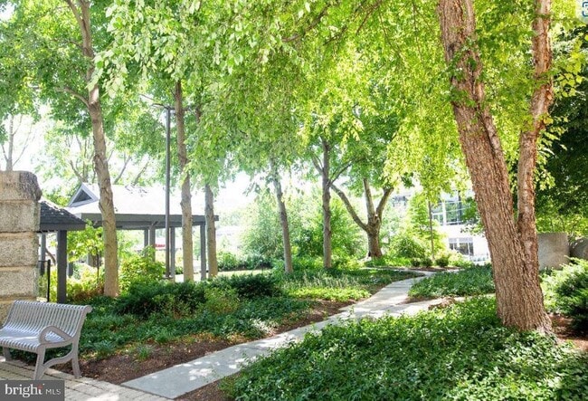 lush garden with gazebos - 2001 Hamilton St