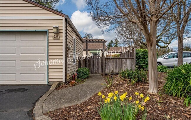 Foto del edificio - ~ Lovely, Spacious 1 Bed/1 Bath Santa Rosa