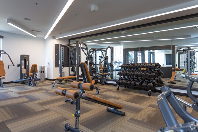Gimnasio - Canvas on Blake