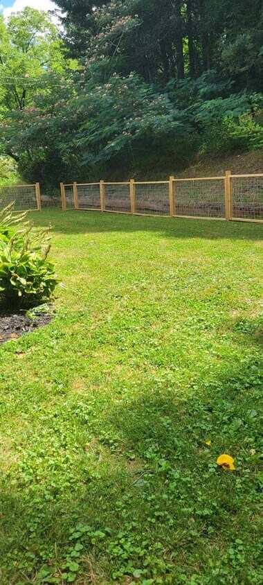 Foto principal - 3 Bd 1.5 Ba with 4 acres.