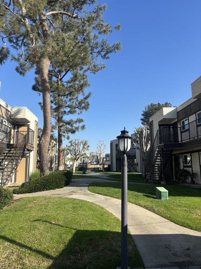 Interior Photo - 104 Brookstone Apartments