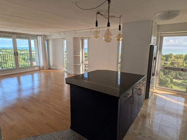 3. Living Dining Space - 1960 N Lincoln Park W