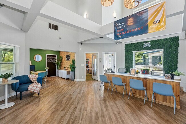 Oficina de Radley - The Radley