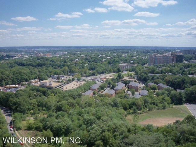 Building Photo - 3705 S George Mason Dr