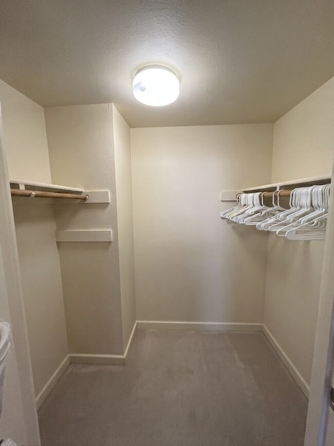 Building Photo - Balzer Apartments