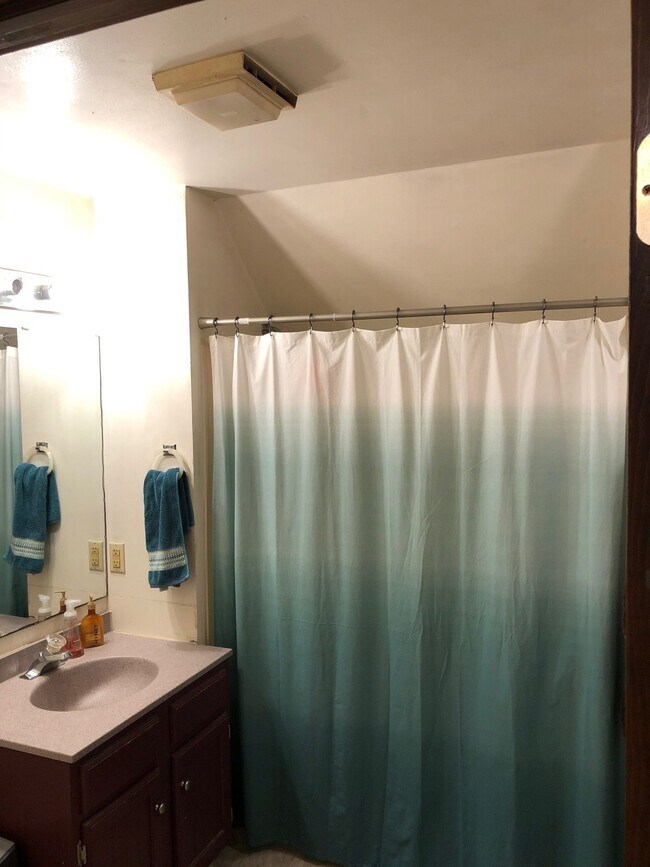 Vista del baño - 112 S Bassett St