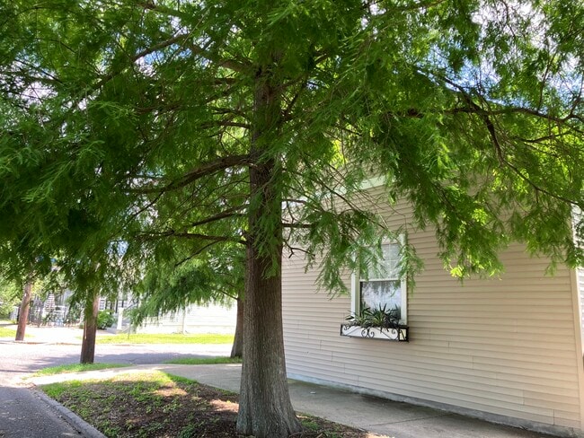 Cypress shaded converted corner restaurant - 2039 Valence St