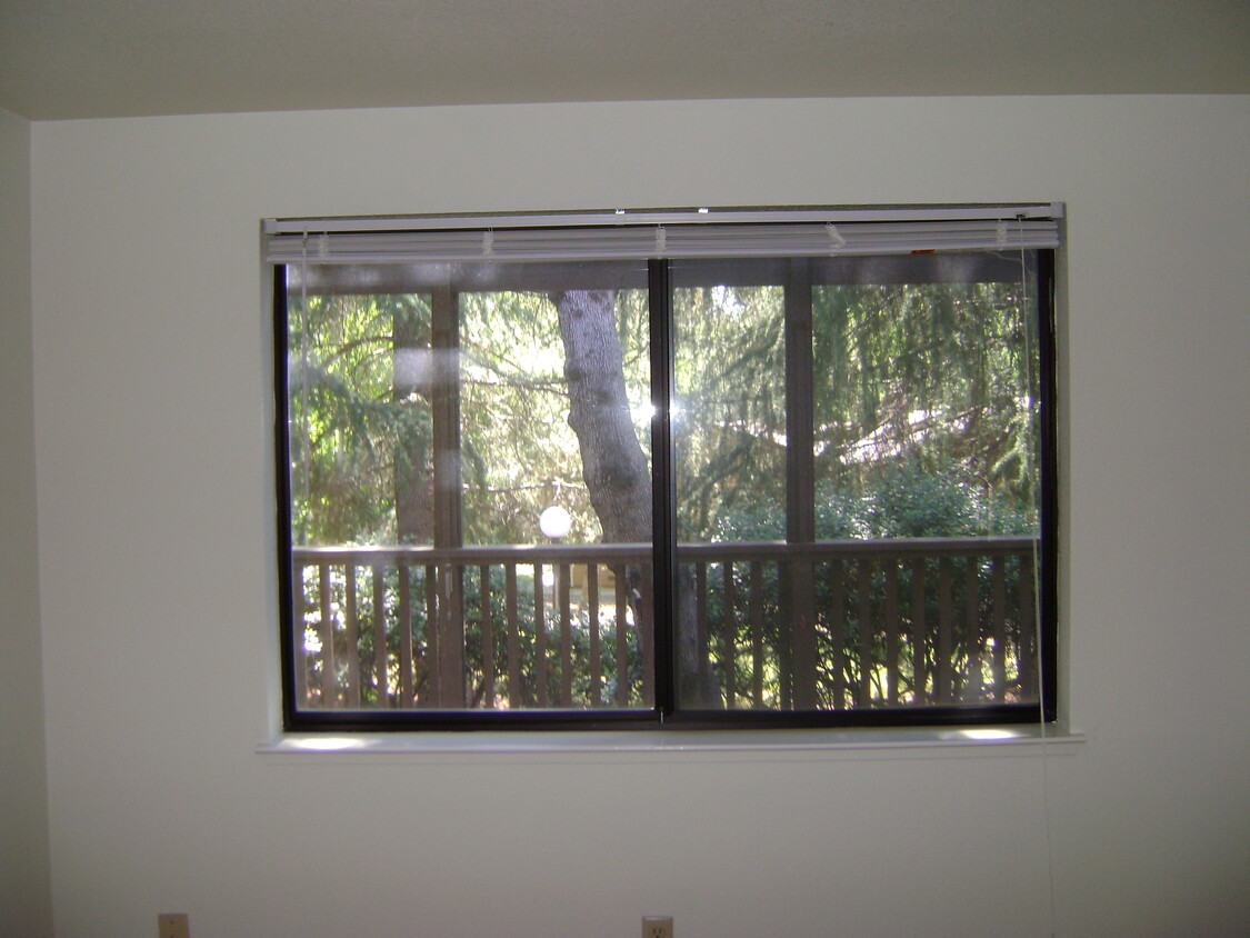 Building Photo - 6523 El Cabo Ct