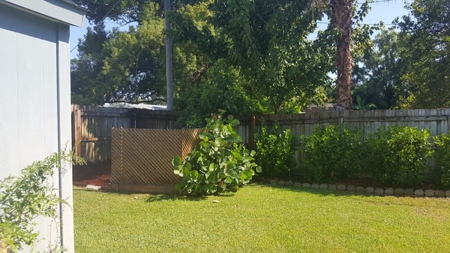 Photo - 3 bedroom 2 bath home with screened in pool (coming soon)
