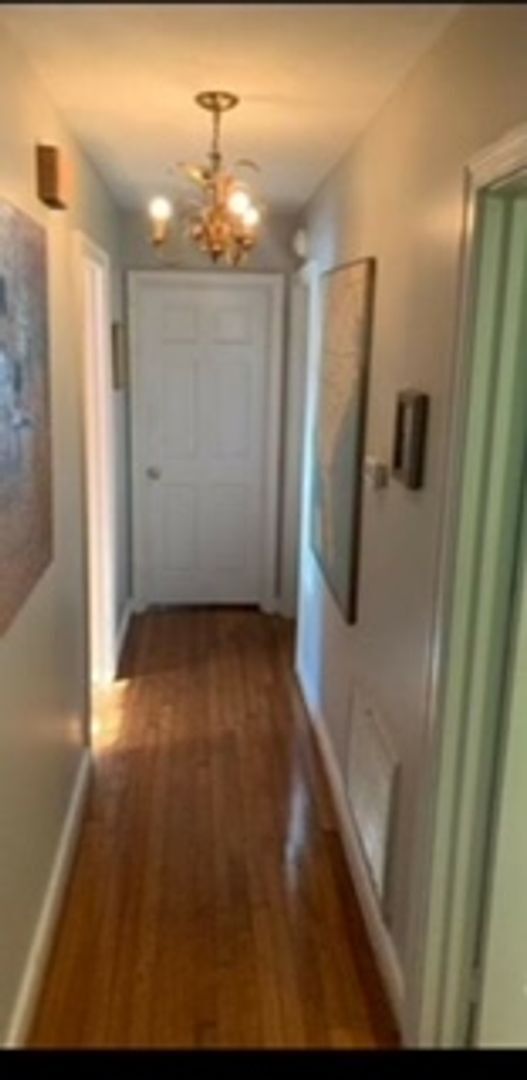 Building Photo - Subletting One Bedroom in Charleston!