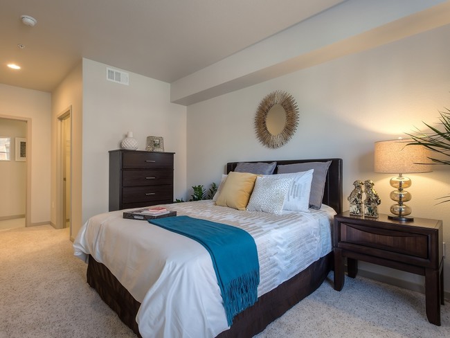 121 Tasman apartments — community photo - 121 Tasman