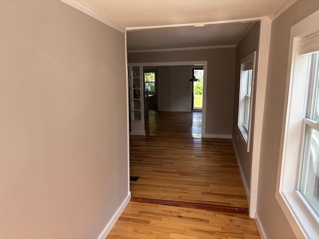 The living room and dining room from the front-entrance - 52 Rose St