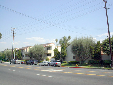 Building Photo - Pine Tree Terrace