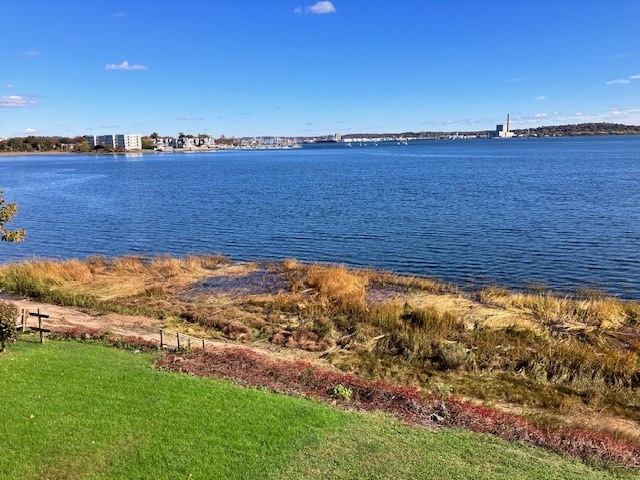 Back yard view - 3 Bayview Pl