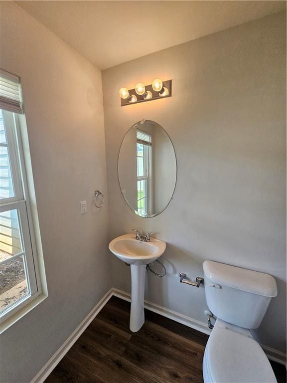 Building Photo - 316 Freeman Cir