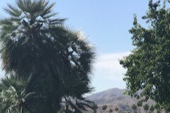 Mountain View - 6181 Arroyo Rd