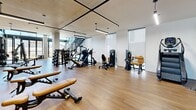 Located at 1031 N Park Ave in Tucson, Arizona, Malibu Fitness & Beauty is a thoughtfully designed fitness facility offering a generously sized exercise room that provides ample space for a comprehensive workout experience. The interior features warm hardwood-style flooring throughout, crisp white walls, and an exposed ceiling with industrial-style pendant and linear lighting fixtures that lend the space a modern, contemporary aesthetic.

Floor-to-ceiling glass windows and large glazed doors along one wall flood the room with abundant natural light while offering open views of the outdoors, creating an energizing and inviting atmosphere. Structural concrete columns add an architectural character that complements the facility's modern design.

The exercise room is outfitted with an extensive array of commercial-grade equipment, including Hoist and Nautilus weight machines, power racks, cable systems, adjustable benches, and a full dumbbell rack. The layout is organized to accommodate both strength training and functional fitness, with clear circulation paths between stations. A warm wood slat accent wall with integrated mirrors adds depth and visual warmth to the space. A staircase visible within the facility suggests access to an adjoining mezzanine or upper level. The overall ambiance is clean, bright, and professionally appointed, reflecting a high-quality fitness environment.