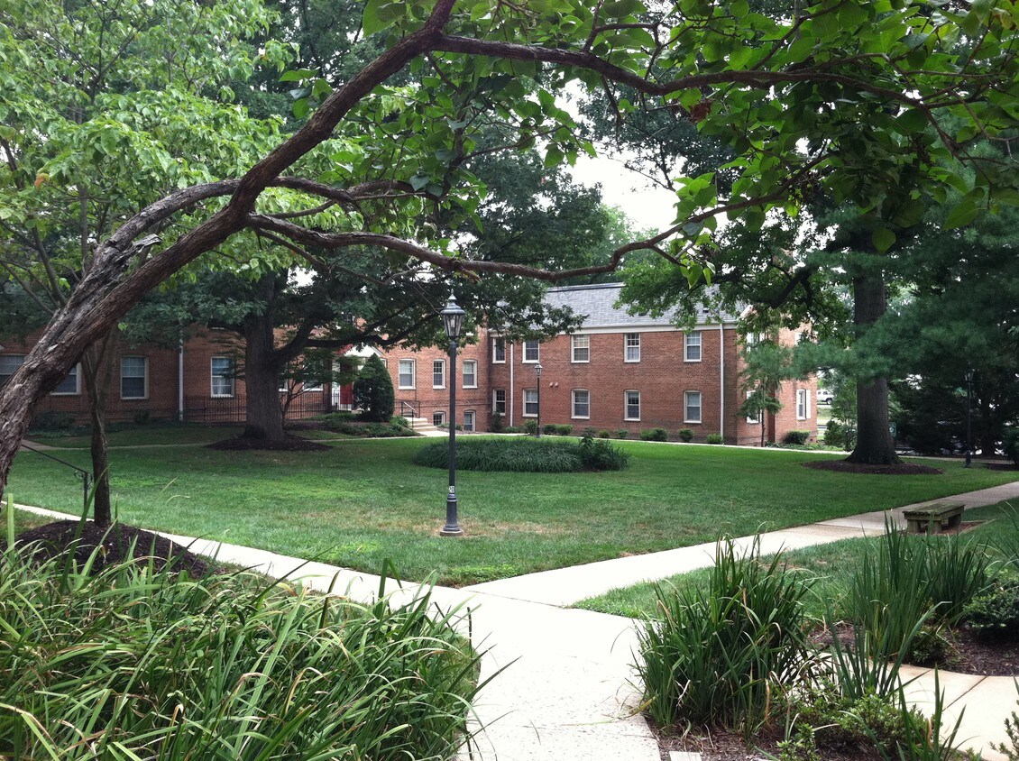 2501 Arlington Blvd, Arlington, VA 22201 Condo for Rent in Arlington