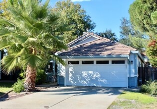 Building Photo - 4929 Chelsea Glen Ct