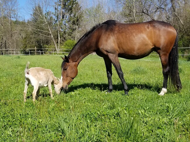 Building Photo - 3 Botsford Hill Rd