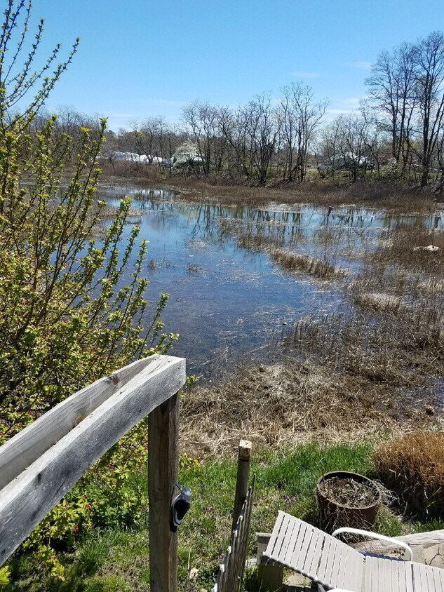 45 Concord St, Fairfield, CT 06824 House for Rent in Fairfield, CT