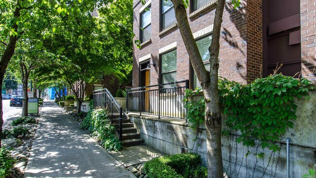 Alcyone Apartments Seattle Wa Apartments Com