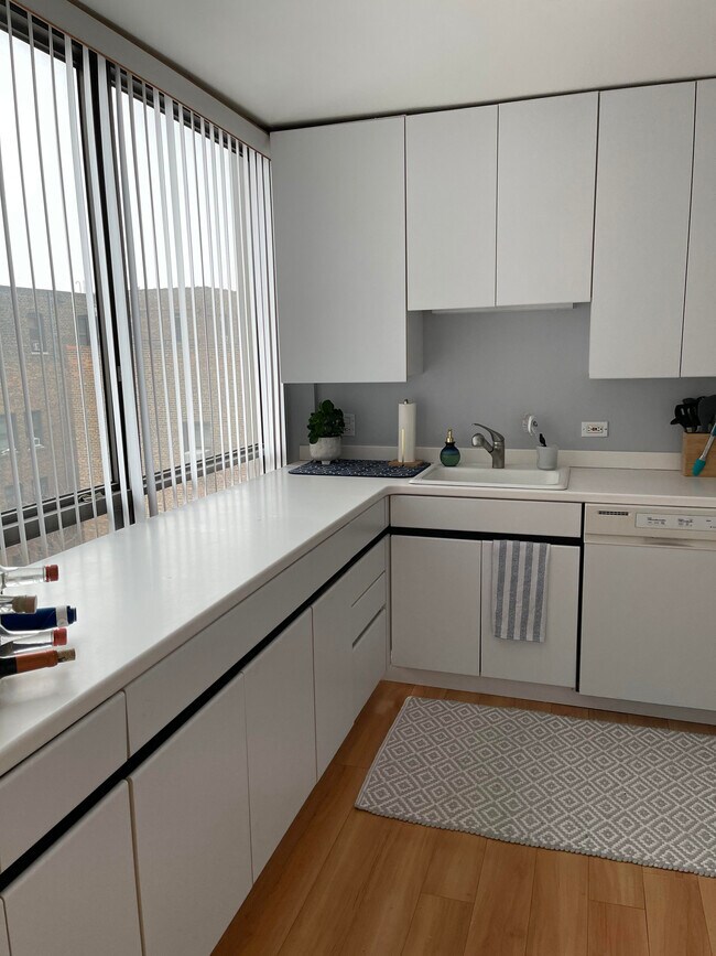 Kitchen View 2 - 2020 N Lincoln Park W