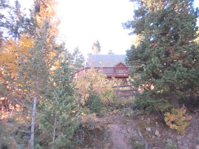 Building Photo - A-Frame Nederland Mountain Home W/ Awesome...