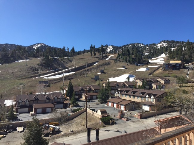 Foto del edificio - Bear View Chalet